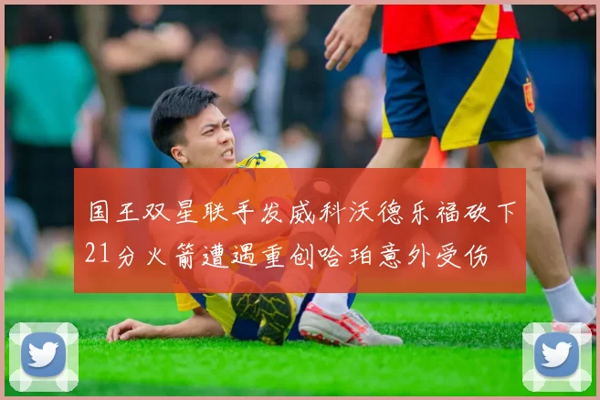 国王双星联手发威科沃德乐福砍下21分火箭遭遇重创哈珀意外受伤
